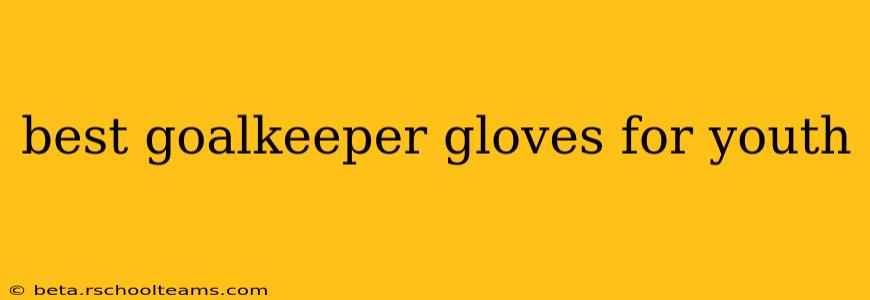 best goalkeeper gloves for youth