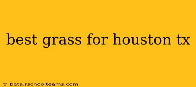 best grass for houston tx