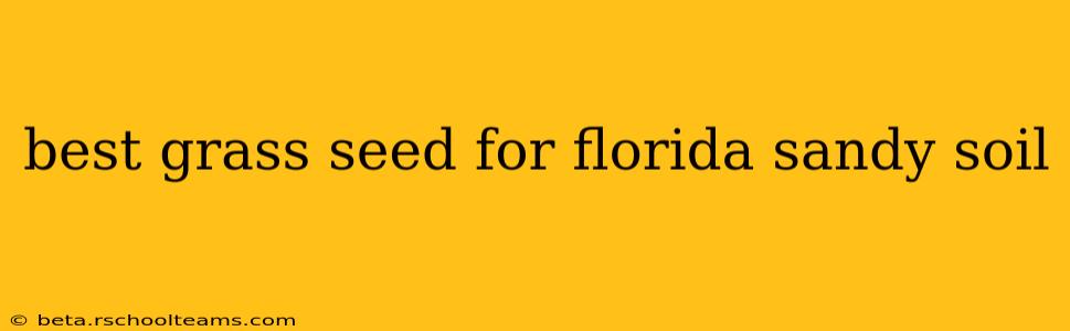 best grass seed for florida sandy soil