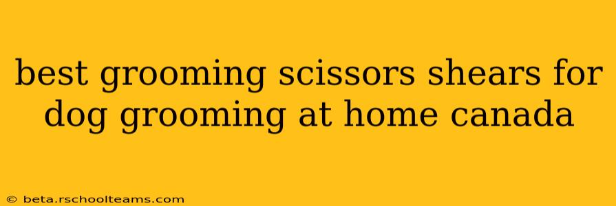 best grooming scissors shears for dog grooming at home canada
