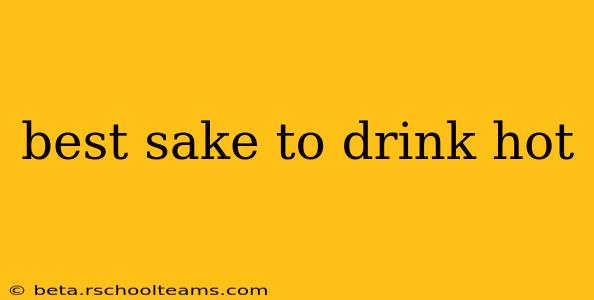 best sake to drink hot