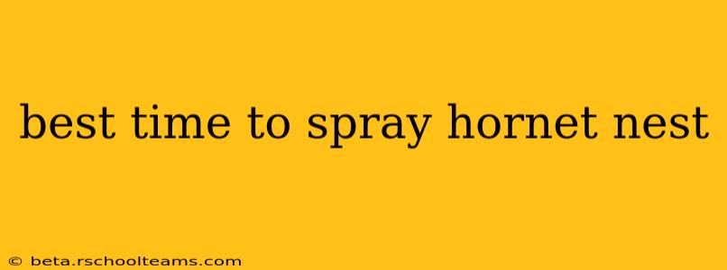 best time to spray hornet nest