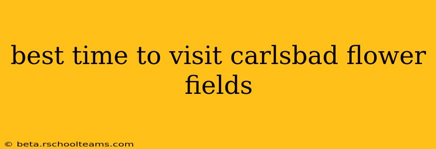best time to visit carlsbad flower fields