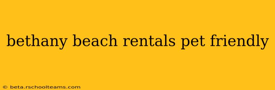 bethany beach rentals pet friendly