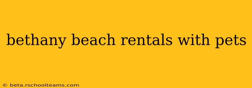 bethany beach rentals with pets