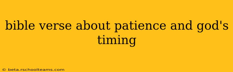 bible verse about patience and god's timing