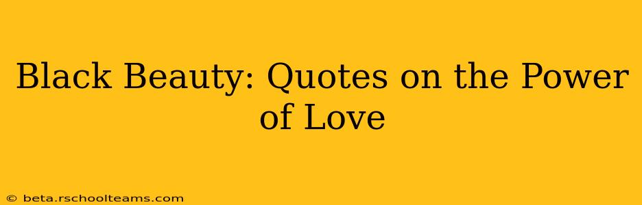 Black Beauty: Quotes on the Power of Love