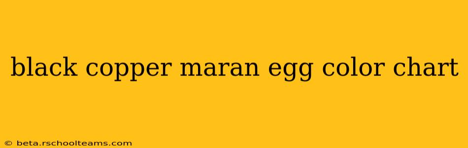 black copper maran egg color chart