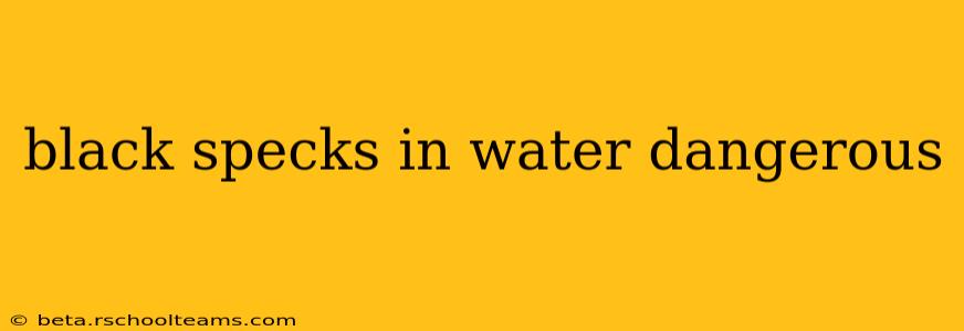 black specks in water dangerous