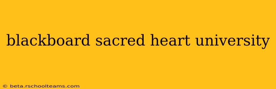 blackboard sacred heart university