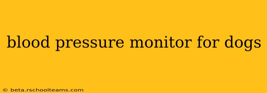blood pressure monitor for dogs