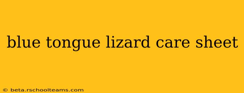 blue tongue lizard care sheet