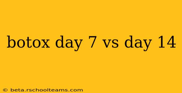 botox day 7 vs day 14