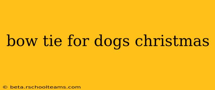 bow tie for dogs christmas
