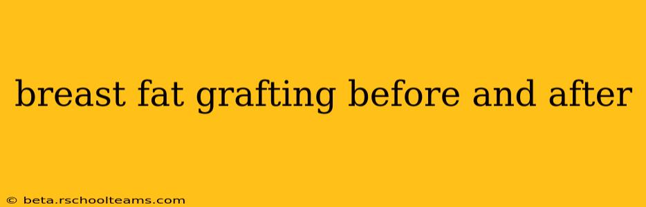 breast fat grafting before and after