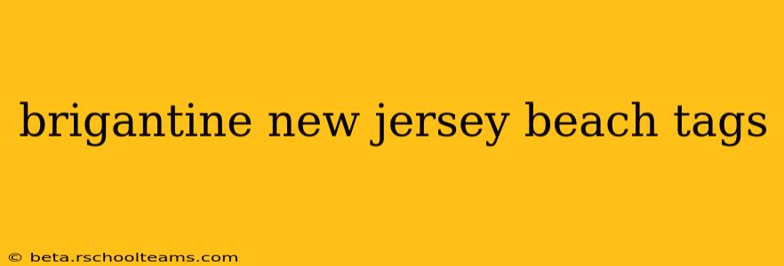 brigantine new jersey beach tags