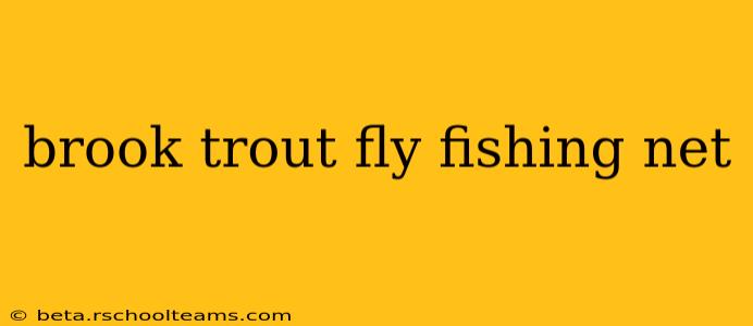 brook trout fly fishing net