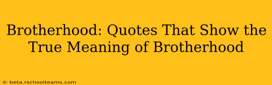 Brotherhood: Quotes That Show the True Meaning of Brotherhood