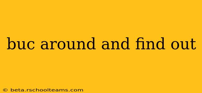 buc around and find out buc around and find out