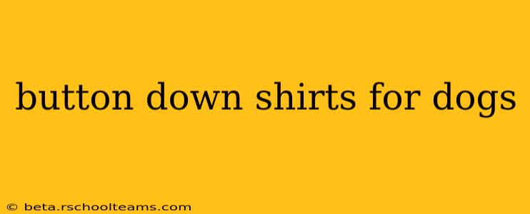 button down shirts for dogs
