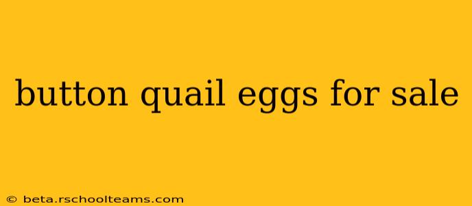 button quail eggs for sale