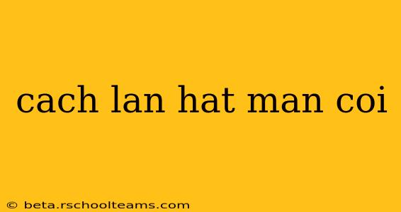 cach lan hat man coi
