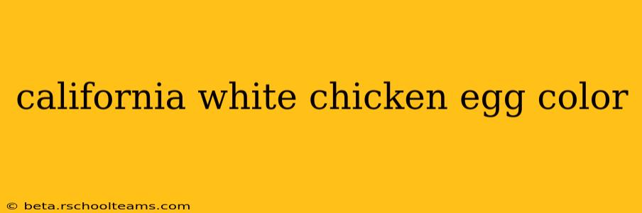 california white chicken egg color