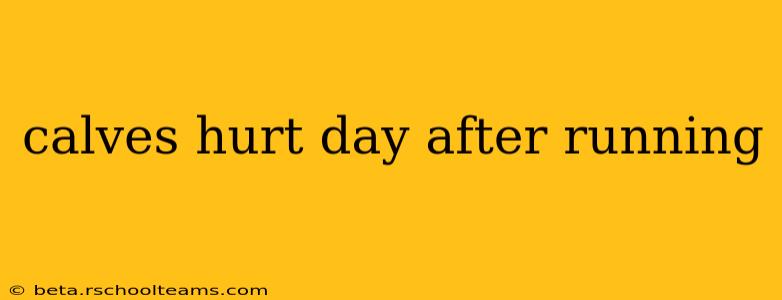 calves hurt day after running