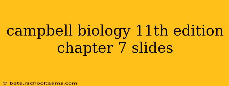 campbell biology 11th edition chapter 7 slides