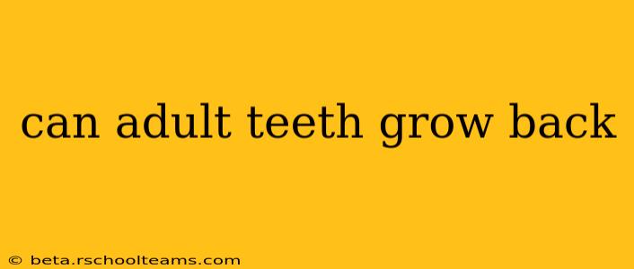 can adult teeth grow back