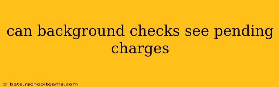 can background checks see pending charges