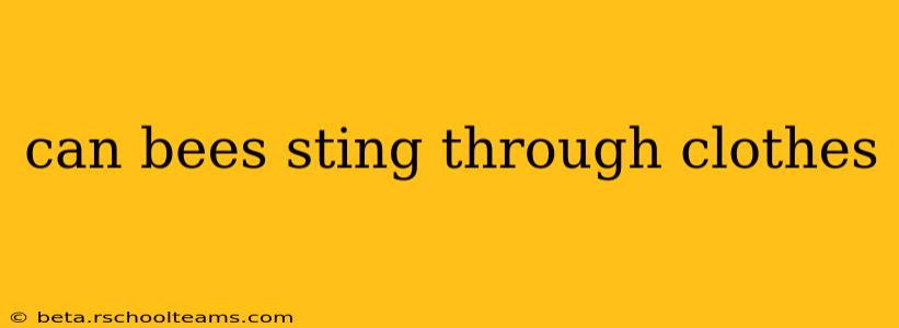 can bees sting through clothes