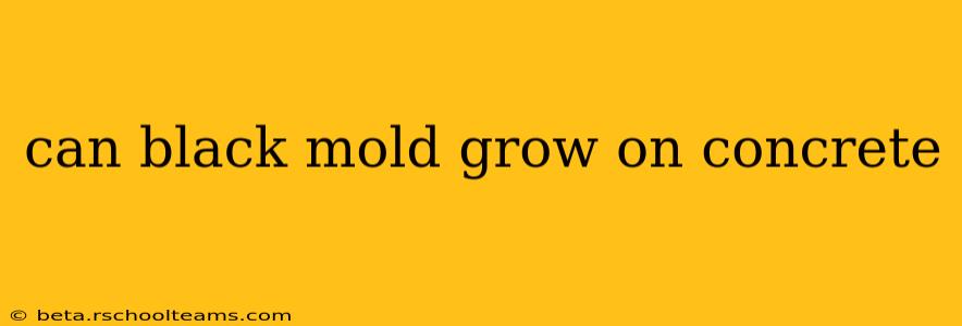 can black mold grow on concrete