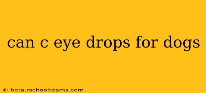 can c eye drops for dogs