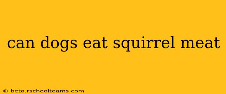 can dogs eat squirrel meat