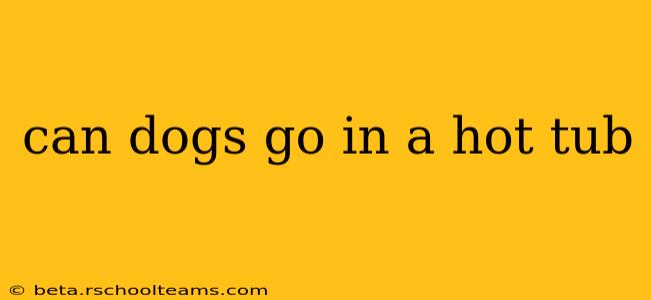 can dogs go in a hot tub