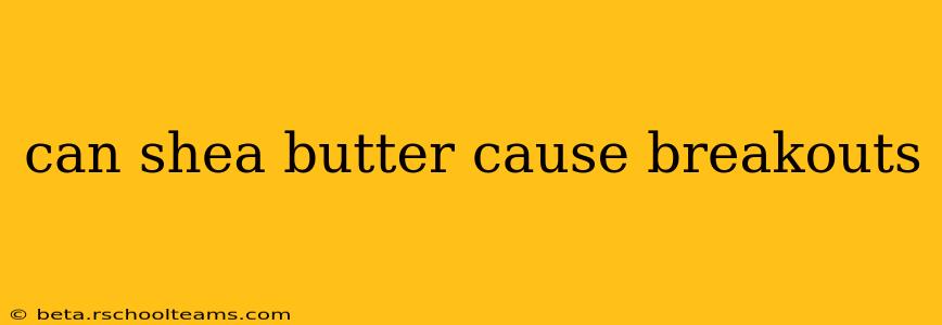 can shea butter cause breakouts