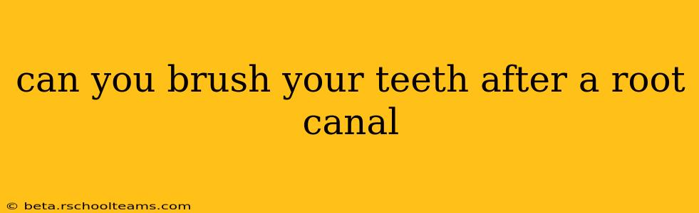 can you brush your teeth after a root canal