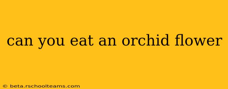 can you eat an orchid flower