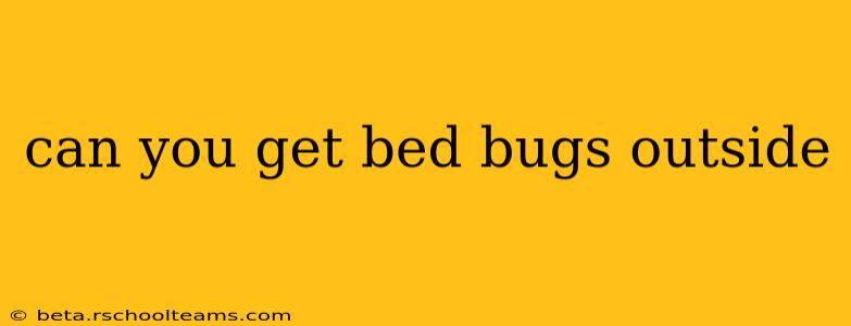 can you get bed bugs outside