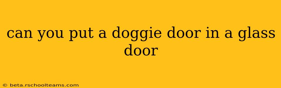 can you put a doggie door in a glass door
