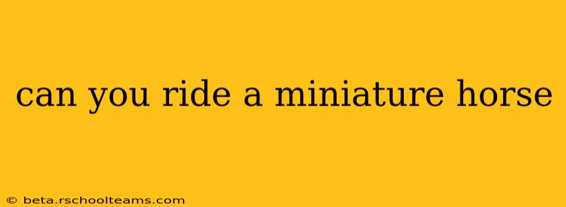 can you ride a miniature horse
