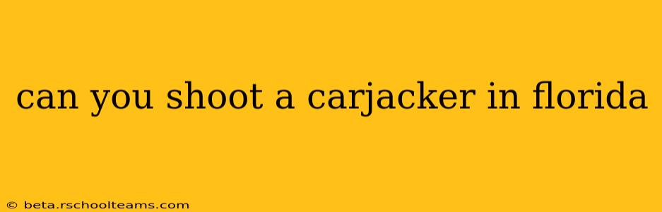 can you shoot a carjacker in florida