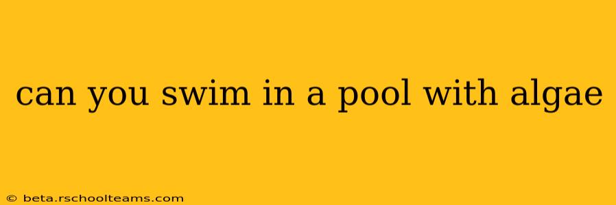 can you swim in a pool with algae