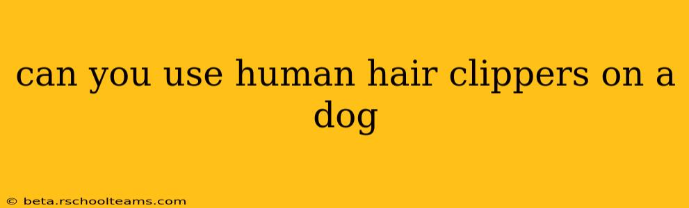 can you use human hair clippers on a dog