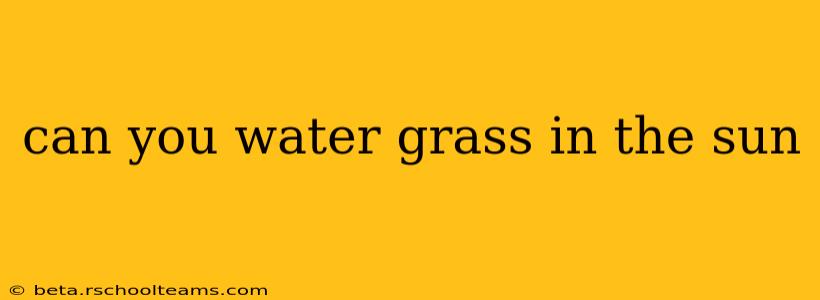 can you water grass in the sun