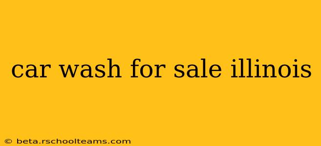 car wash for sale illinois