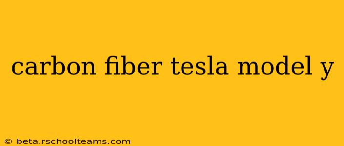 carbon fiber tesla model y