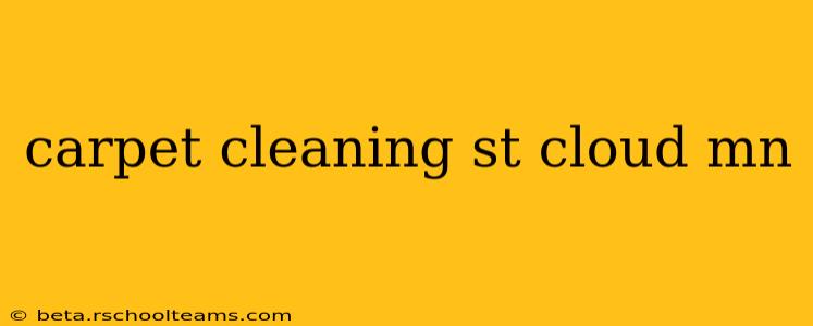 carpet cleaning st cloud mn