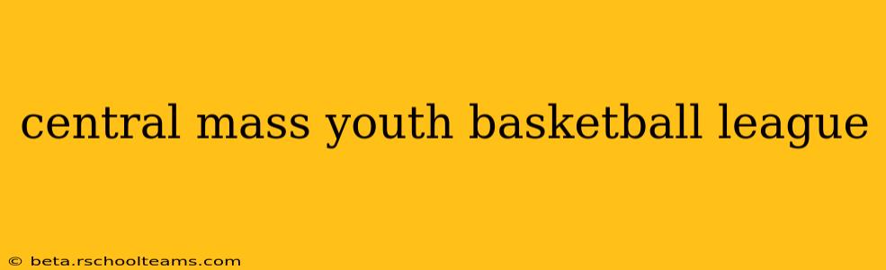 central mass youth basketball league